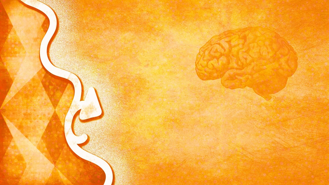 Psychotherapie: Behandlung der Seele